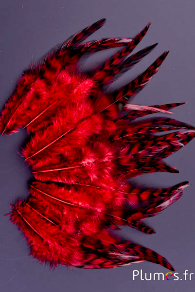 Coq chinchilla - 9-13 cm - rouge